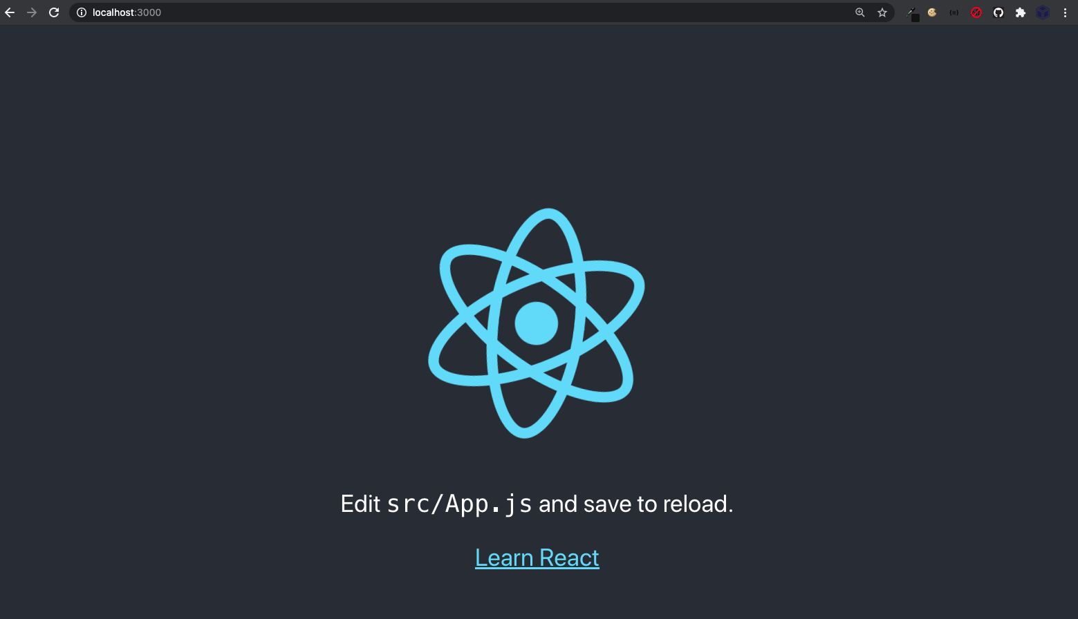 npm start opens the React app.